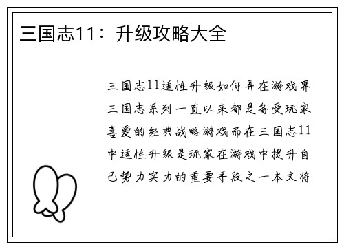 三国志11：升级攻略大全